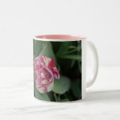 Tasse mit einer Tulpe (VorderseiteRechts)