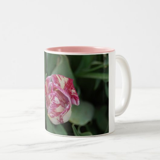 Tasse mit einer Tulpe (VorderseiteRechts)