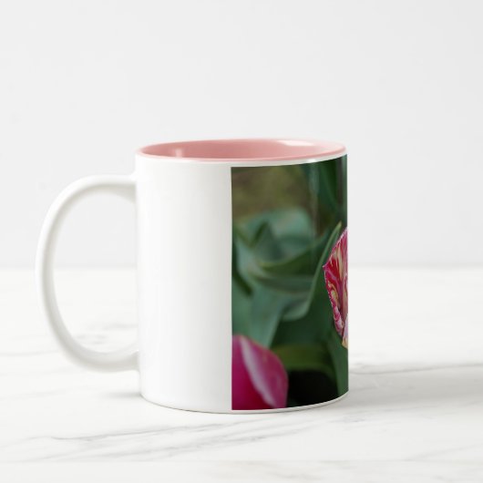 Tasse mit einer Tulpe (Links)