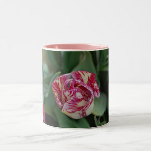 Tasse mit einer Tulpe
