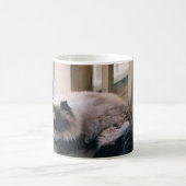 Tasse mit Foto einer Himalaya-Katze (Mittel)