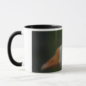 Tasse mit Gänsen… (Links)