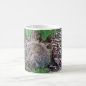 Tasse mit Kaninchen (Mittel)