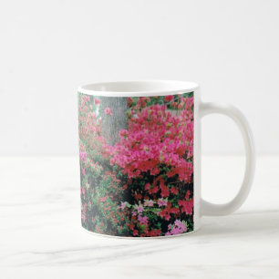 Tasse mit leuchtend rosa Azaleenblüten