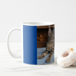Tasse mit niedlichem Kätzchen