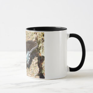 Tasse mit originalem Foto eines wunderschönen Schm