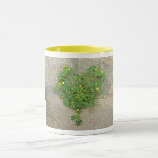 Tasse mit originellem Foto aus herzenförmigen Klee (Zentrum)