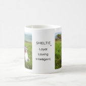 Tasse mit Shelties auf einer Wiese (Mittel)