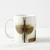 Tasse mit Stockinsekten (Links)