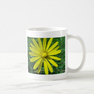 Tasse Ō gelbe Margerite
