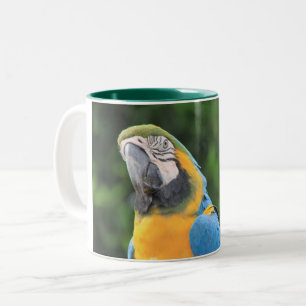 Tasse Papagei