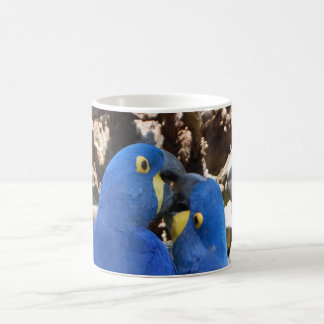 Tasse _ Papageien