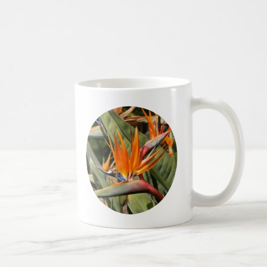 Tasse, Paradiesvogel Kaffeetasse (Rechts)