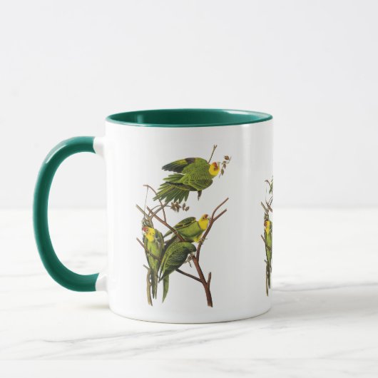 Tasse: Parakeet - von John Audubon Tasse (Links)