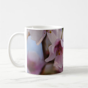 Tasse Pink Cherry Blossom