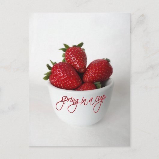 Tasse Postkarte (Vorderseite)