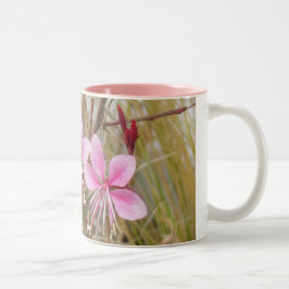 Tasse - Rosa Guara
