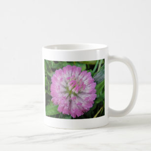 Tasse rosa Kleeblüte mit Wassertropfen