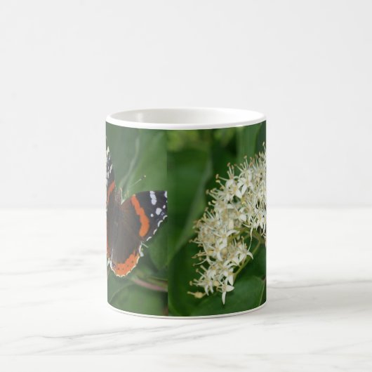 Tasse roten Admiral-Schmetterling (Mittel)