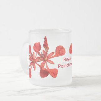 Tasse Royal Poinciana Blume