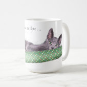 Tasse - Russisches blaues Kätzchen (VorderseiteRechts)