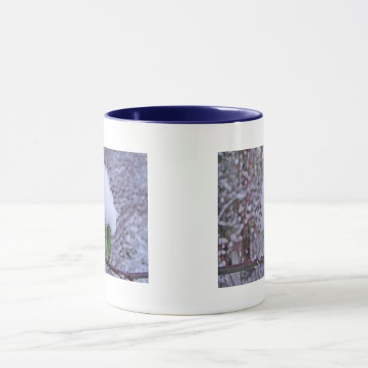 Tasse Schehäufchen auf ischer Pflanze (Zentrum)