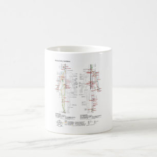 TASSE Schematische Chinesische Meridiane Muskulatu