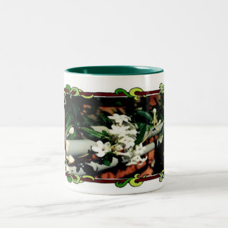 Tasse-Schöne Stephanotis-Rebe Zweifarbige Tasse