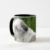 Tasse Shih Tzu (Vorderseite Links)