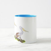 Tasse: Sightseeing Tasse (Zentrum)