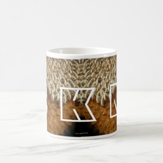 Tasse - Sonnenblumensaat mit Initialen (Mittel)