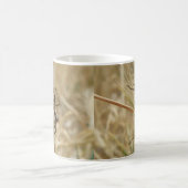 Tasse Spider und Eier (Mittel)