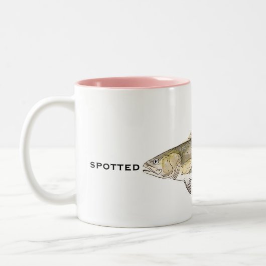 Tasse | TASSE (Links)