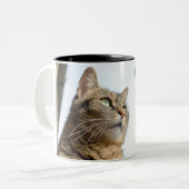 Tasse und Cups (Vorderseite Links)