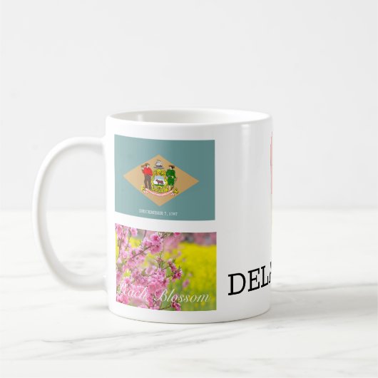 TASSE VON DELAWARE (Links)