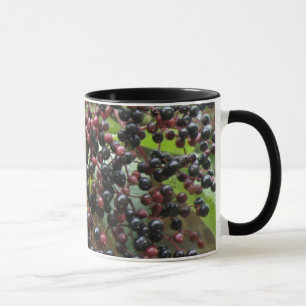 Tasse von Elderberries