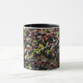 Tasse von Elderberries (Zentrum)