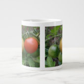Tasse von Leichttomaten (Vorderseite)