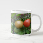 Tasse von Leichttomaten (Rechts)