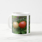 Tasse von Leichttomaten (Vorderseite Links)