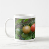Tasse von Leichttomaten (Links)