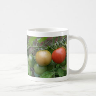 Tasse von Leichttomaten