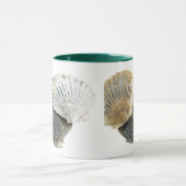 Tasse von Muscheln (Zentrum)