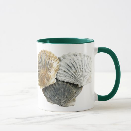 Tasse von Muscheln (Rechts)
