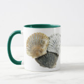 Tasse von Muscheln (Links)