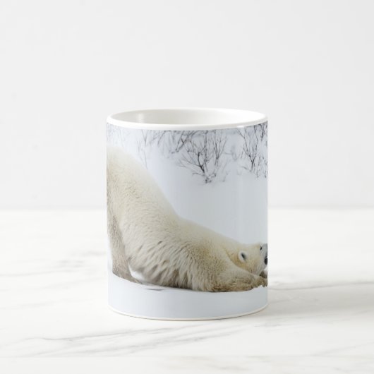 Tasse von Polar Bear (Mittel)