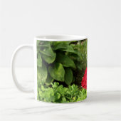 Tasse von rote Rosen (Links)
