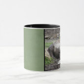 Tasse von Sulfatramin (Zentrum)