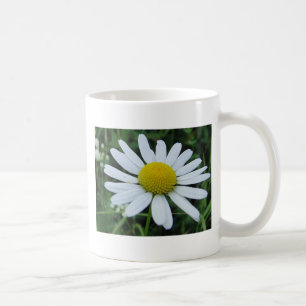 Tasse weisse Margerite