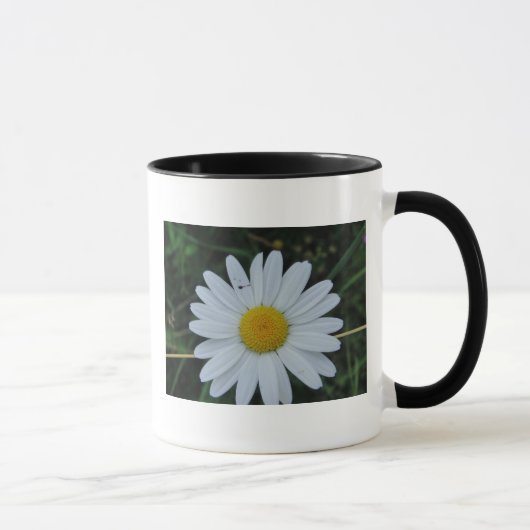 Tasse weisse Margeritenblüte (Rechts)